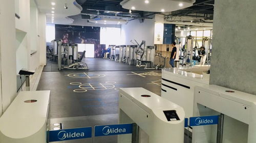 從熱愛(ài)到圓夢(mèng) 我的服務(wù)設(shè)計(jì)之旅與米蘭理工大學(xué)PSSD申請(qǐng)記